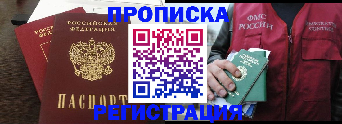 прописка законно в Курчалом